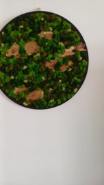 Mosschilderij / rond (70)