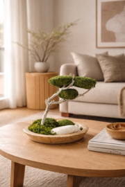 Houten schaal met mosboom (2)