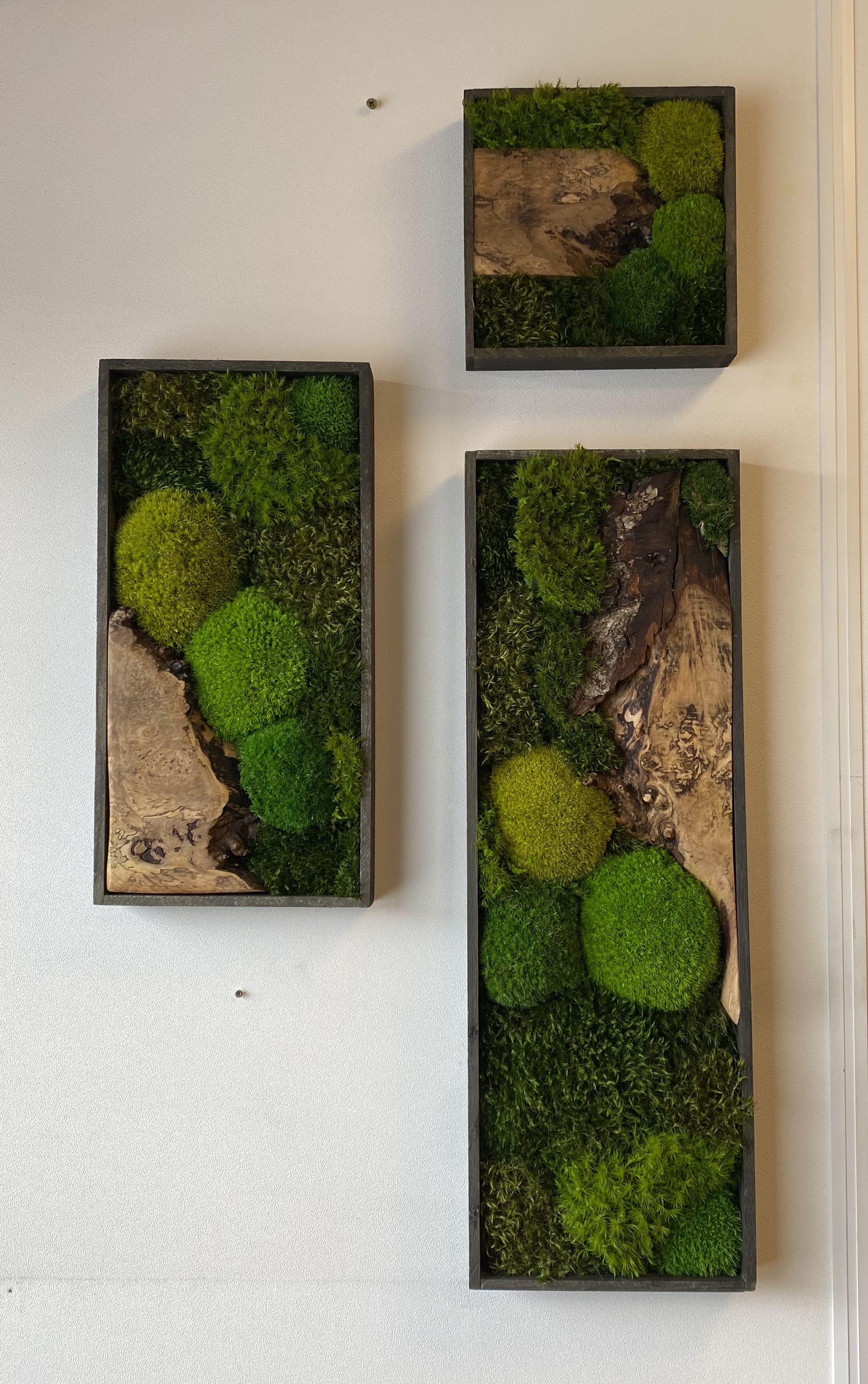 Mos schilderijen / set van drie (1A/1B/1C)
