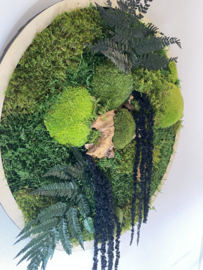 Mos schilderij rond  (1)