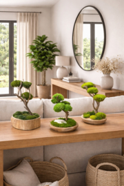 Naturel houten schaal met mosboompje (1.4)