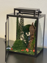 Windlicht met mini jungle