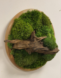 Mosschilderij rond (4)