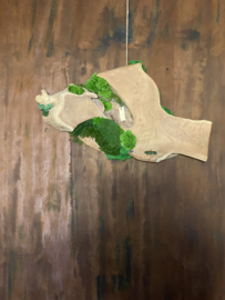 Boomstam tafel decoratie (1)