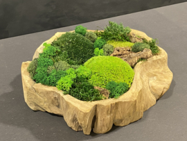 Robuust houten mosschaal