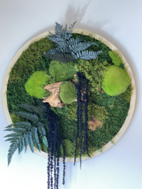Mos schilderij rond  (1)