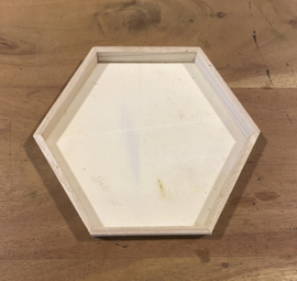 DIY Mosschilderij - mini hexagon