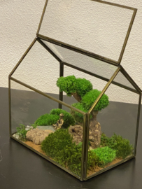 Mini landschap in glazen huisje