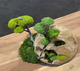 Decoratieve houten halve bol (1)