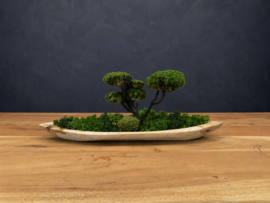 DIY Mosschaal met boompje (2)