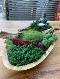 Ovale teakhouten mosschaal met Boeddha