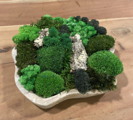 Mosschilderij/schaal