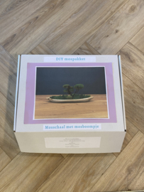 DIY Mosschaal met boompje (2)