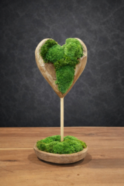 Teakhouten ‘mos’hart op standaard (1)