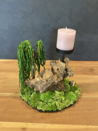 Moskandelaar - Bonsai Landschap  (1.1)