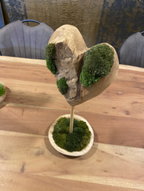 Teakhouten ‘mos’hart op standaard (2)