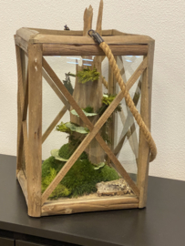 Groot windlicht mos creatie