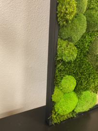 Nature mos schilderij met robuust hout