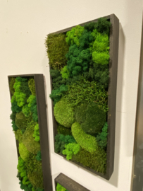 Mosschilderij rechthoek (9)