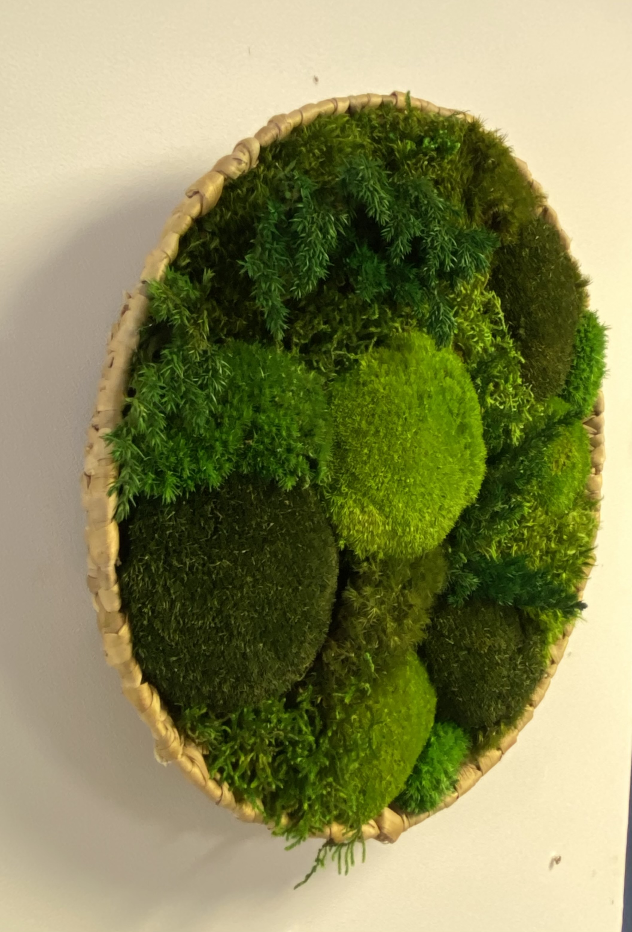 Mos schilderij/schaal  rond