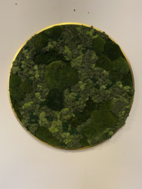 Mosschilderij -  Boscirkel