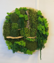 Mosschilderij / rond (38)