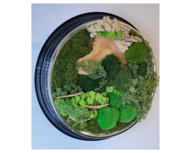 Mosschilderij ‘oude klok’
