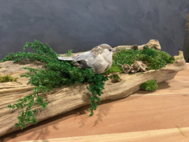 Boomstam tafel decoratie