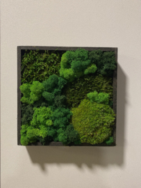 Mosschilderij vierkant (10)