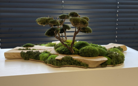 Robuust houten plateau met mosboompjes