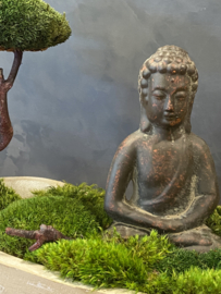 Boedha in a Mossforest