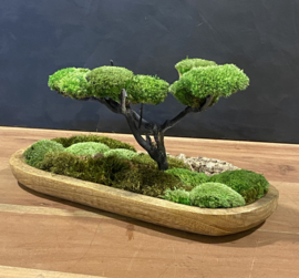 Naturel houten schaaltje met mosboompje (3)