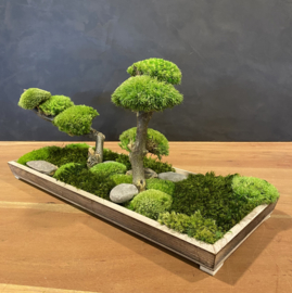 Naturel houten schaaltje met mosboompjes (2)