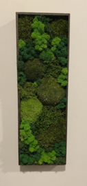 Mosschilderij rechthoek (8)