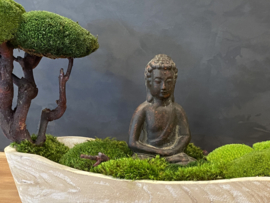 Boedha in a Mossforest