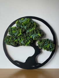 Tree of Life
