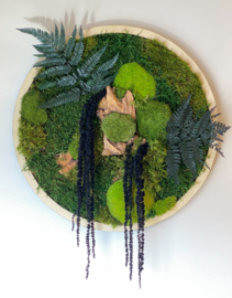 Mosschilderij / rond (7)