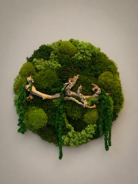 Mosschilderij - Green Forest (2)