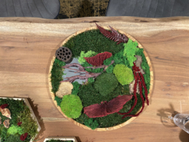 Mosschilderij / rond (7)