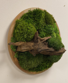 Mosschilderij rond (4)