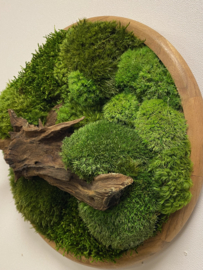 Mosschilderij rond (4)