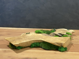 Boomstam tafel decoratie (1)