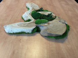 Boomstam tafel decoratie (2)
