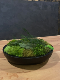 Keramieken mos schaal