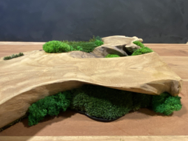 Boomstam tafel decoratie (1)