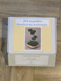 DIY Mosboompje small