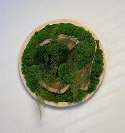 Mos schilderij rond (3)