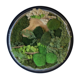 Mosschilderij ‘oude klok’