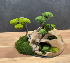 Decoratieve houten halve bol (1)