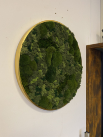 Mosschilderij -  Boscirkel
